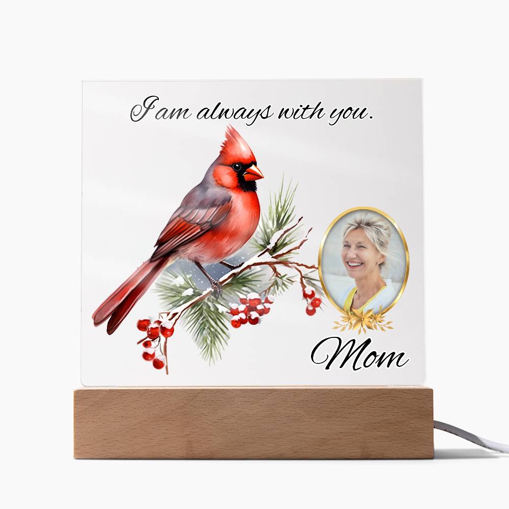 a picture of a cardinal on a branch with a picture of a woman