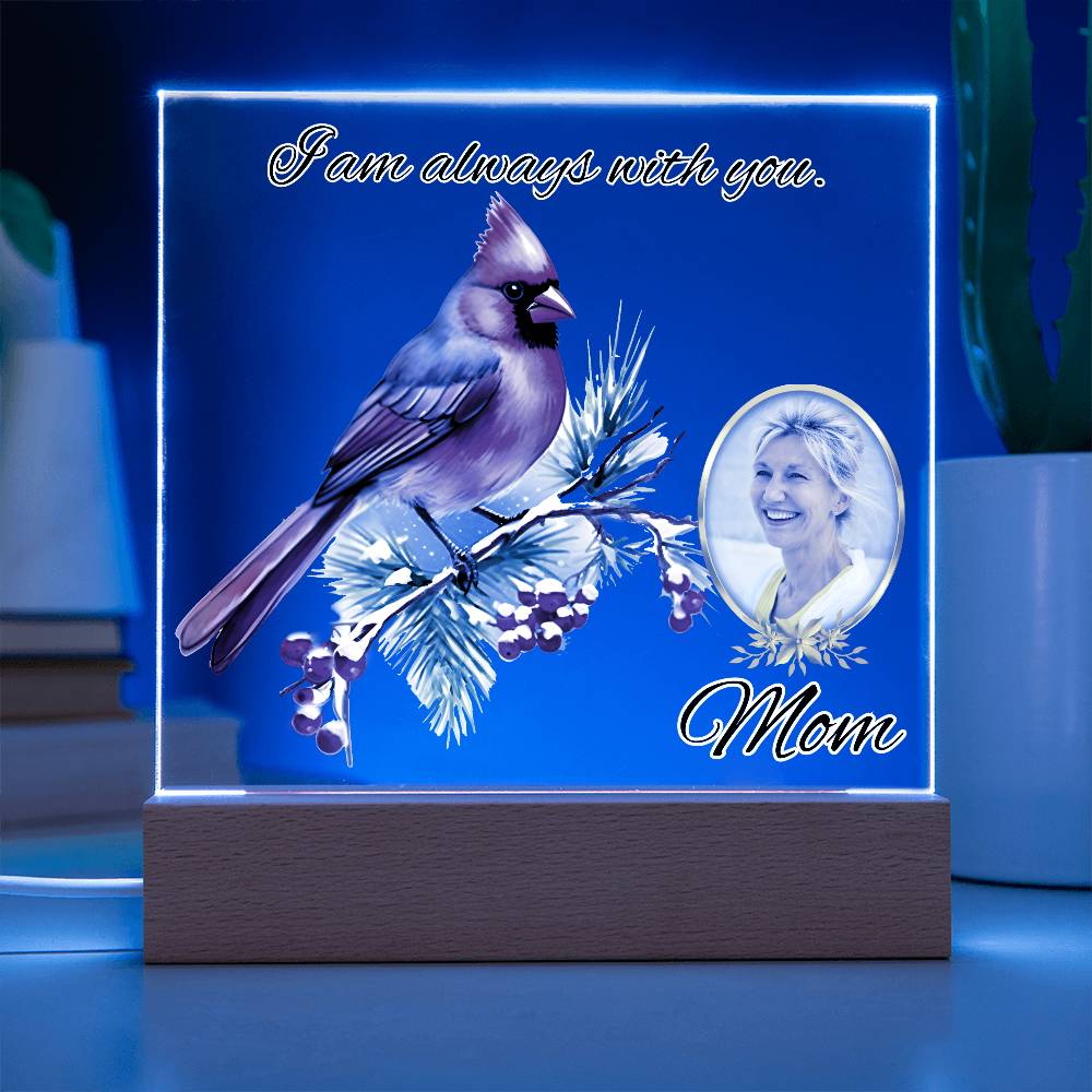 a blue lighted plaque with a picture of a bird on it