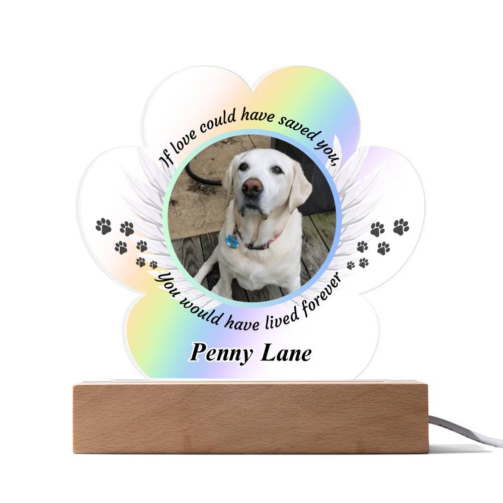 Acrylic Paw Print Memorial - If Love Could Have Saved You - Pet Sympathy Gift