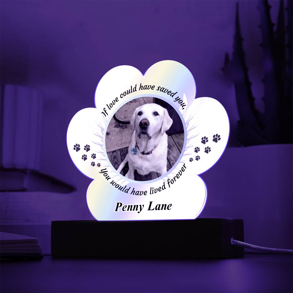 Acrylic Paw Print Memorial - If Love Could Have Saved You - Pet Sympathy Gift