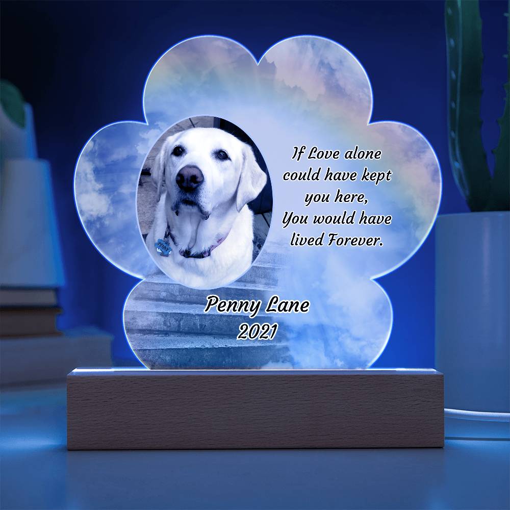 Acrylic Paw Print Memorial - If Love Could Have Saved You - Pet Sympathy Gift