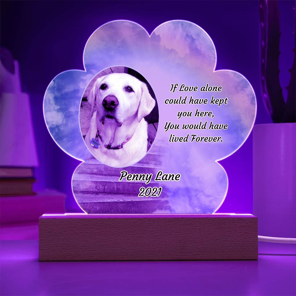 Acrylic Paw Print Memorial - If Love Could Have Saved You - Pet Sympathy Gift