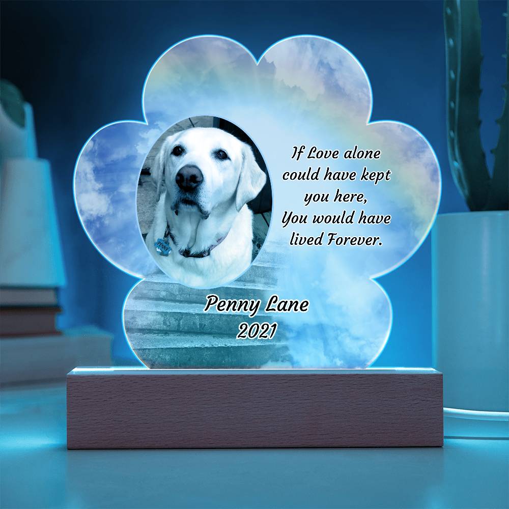 Acrylic Paw Print Memorial - If Love Could Have Saved You - Pet Sympathy Gift