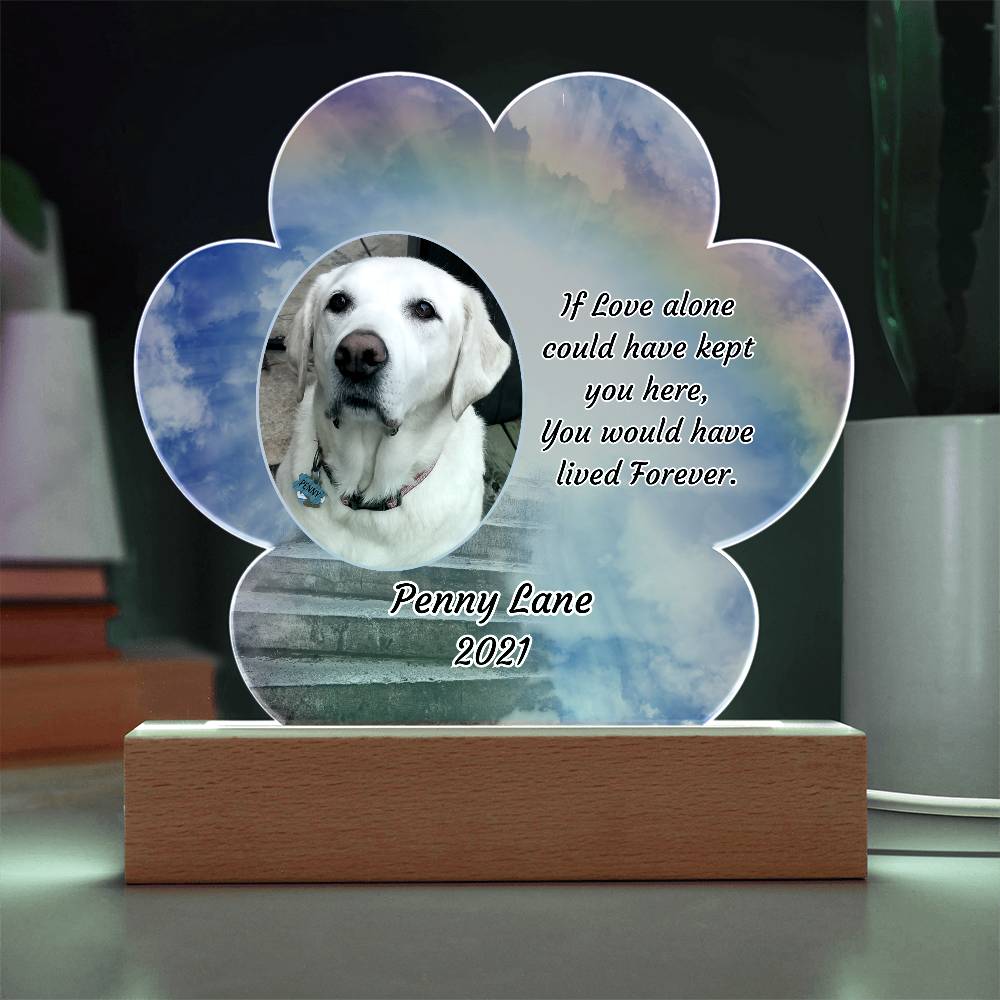 Acrylic Paw Print Memorial - If Love Could Have Saved You - Pet Sympathy Gift