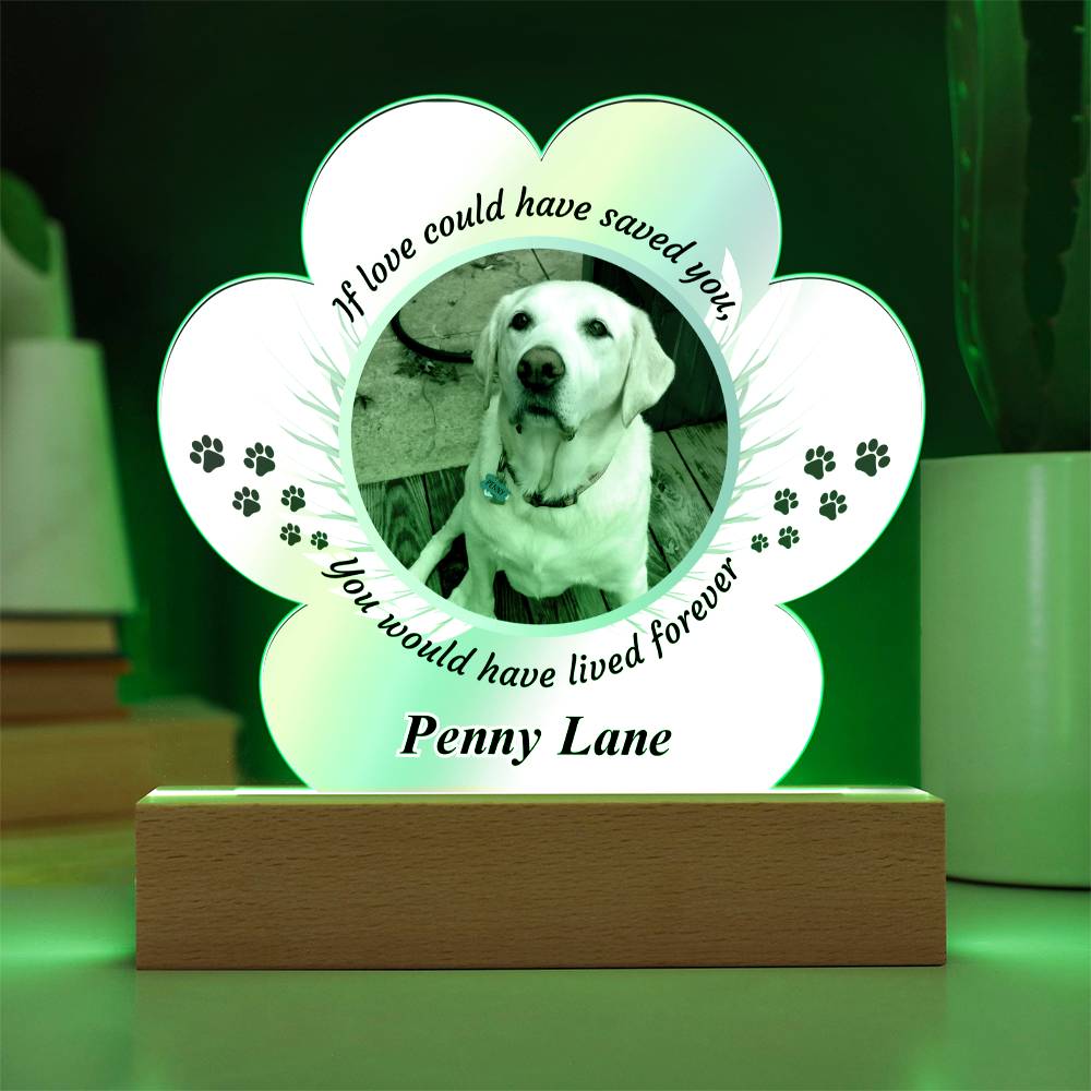 Acrylic Paw Print Memorial - If Love Could Have Saved You - Pet Sympathy Gift