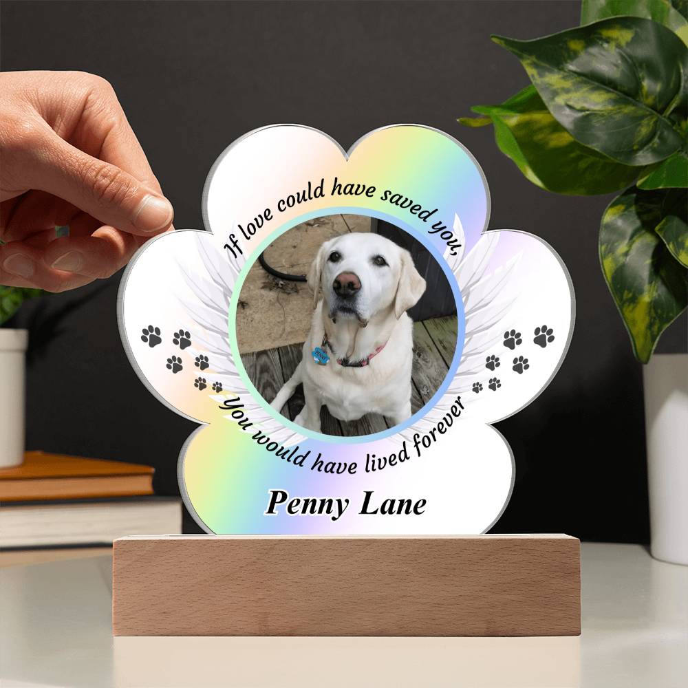 Acrylic Paw Print Memorial - If Love Could Have Saved You - Pet Sympathy Gift