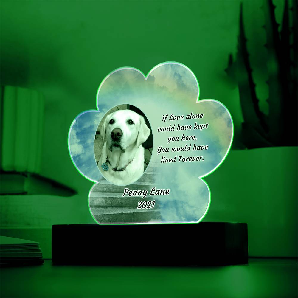 Acrylic Paw Print Memorial - If Love Could Have Saved You - Pet Sympathy Gift