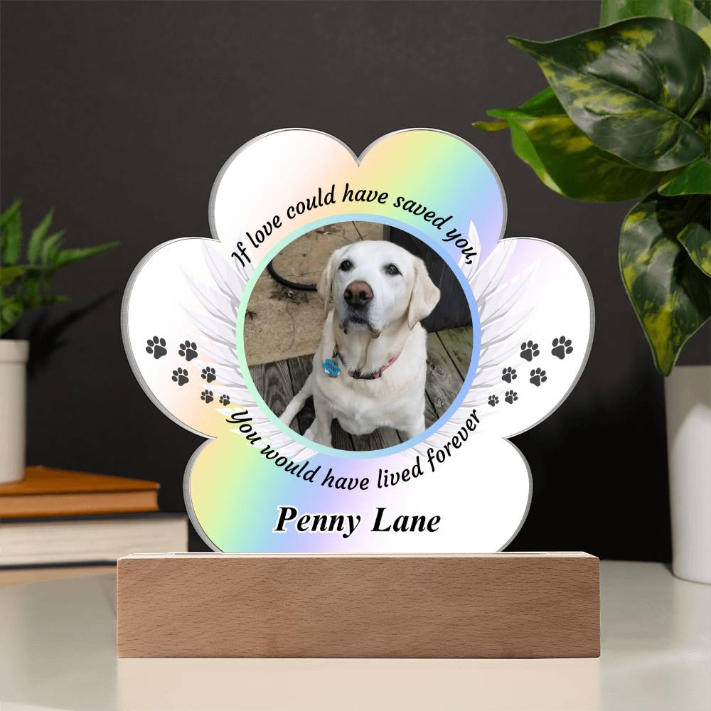 Acrylic Paw Print Memorial - If Love Could Have Saved You - Pet Sympathy Gift