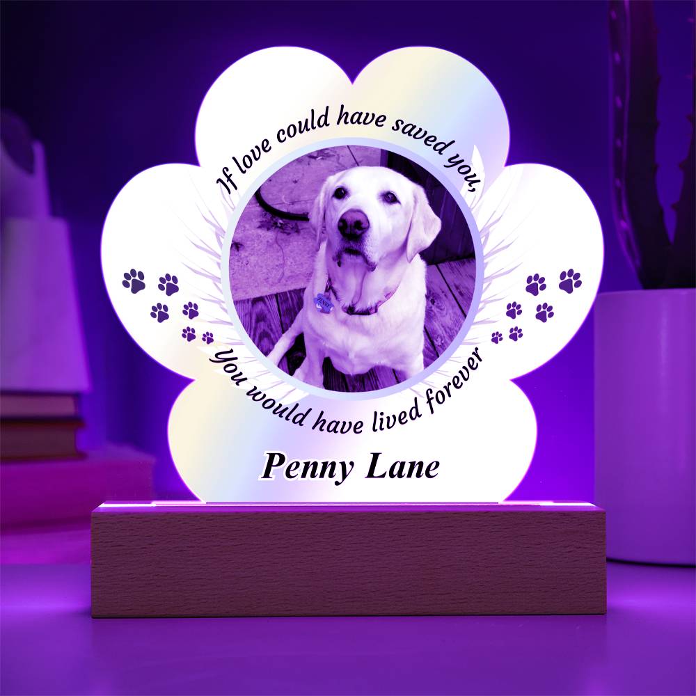 Acrylic Paw Print Memorial - If Love Could Have Saved You - Pet Sympathy Gift