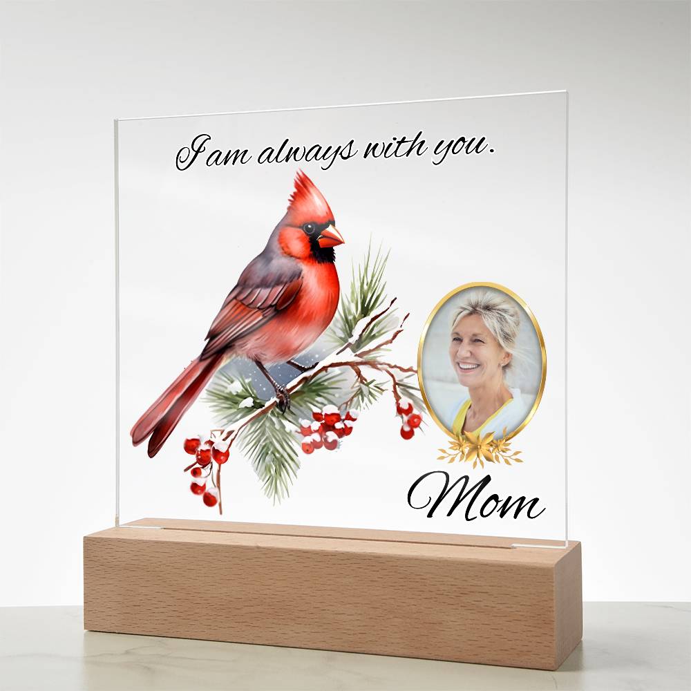 a glass plaque with a picture of a cardinal on it