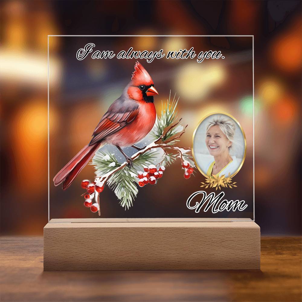 a picture of a cardinal on a christmas card