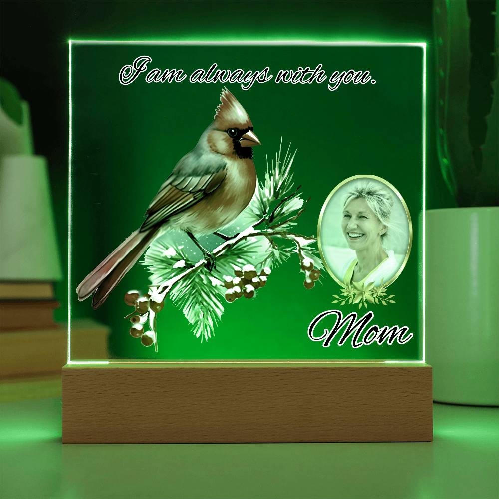 a lighted picture frame with a picture of a bird