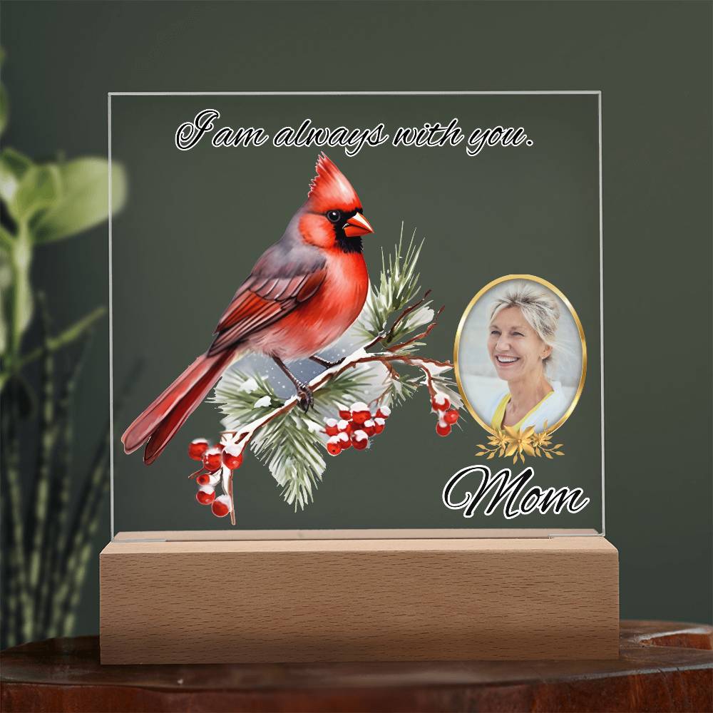 a glass picture frame with a cardinal on it