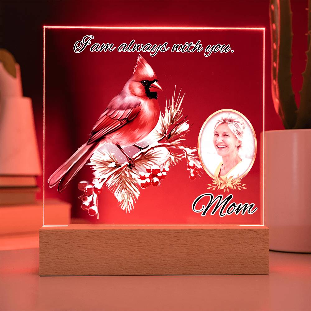 a lighted picture frame with a cardinal on it