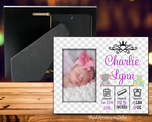 Baby Girl Picture Frame-Personalized Birth Announcement Picture Frame with stats