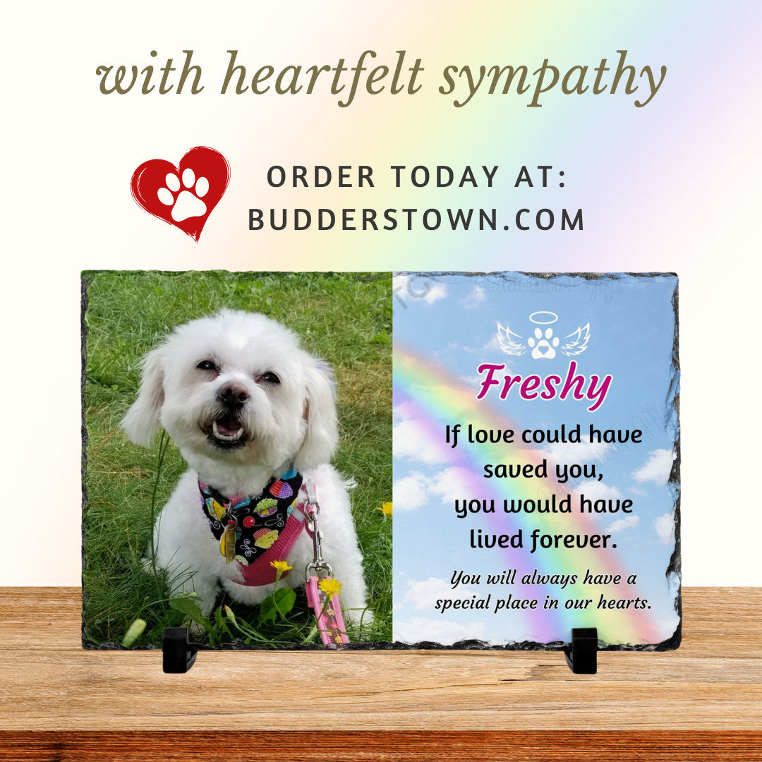 7x11 memorial plaque loss of pet, if love could have save you with photo and rainbow