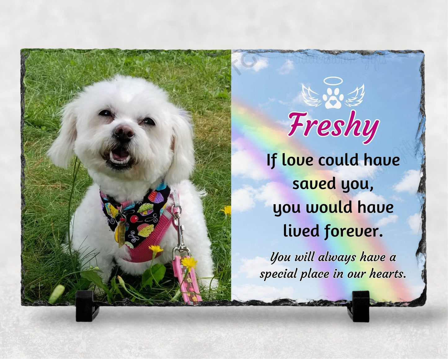 7x11 memorial plaque loss of pet, if love could have save you with photo and rainbow