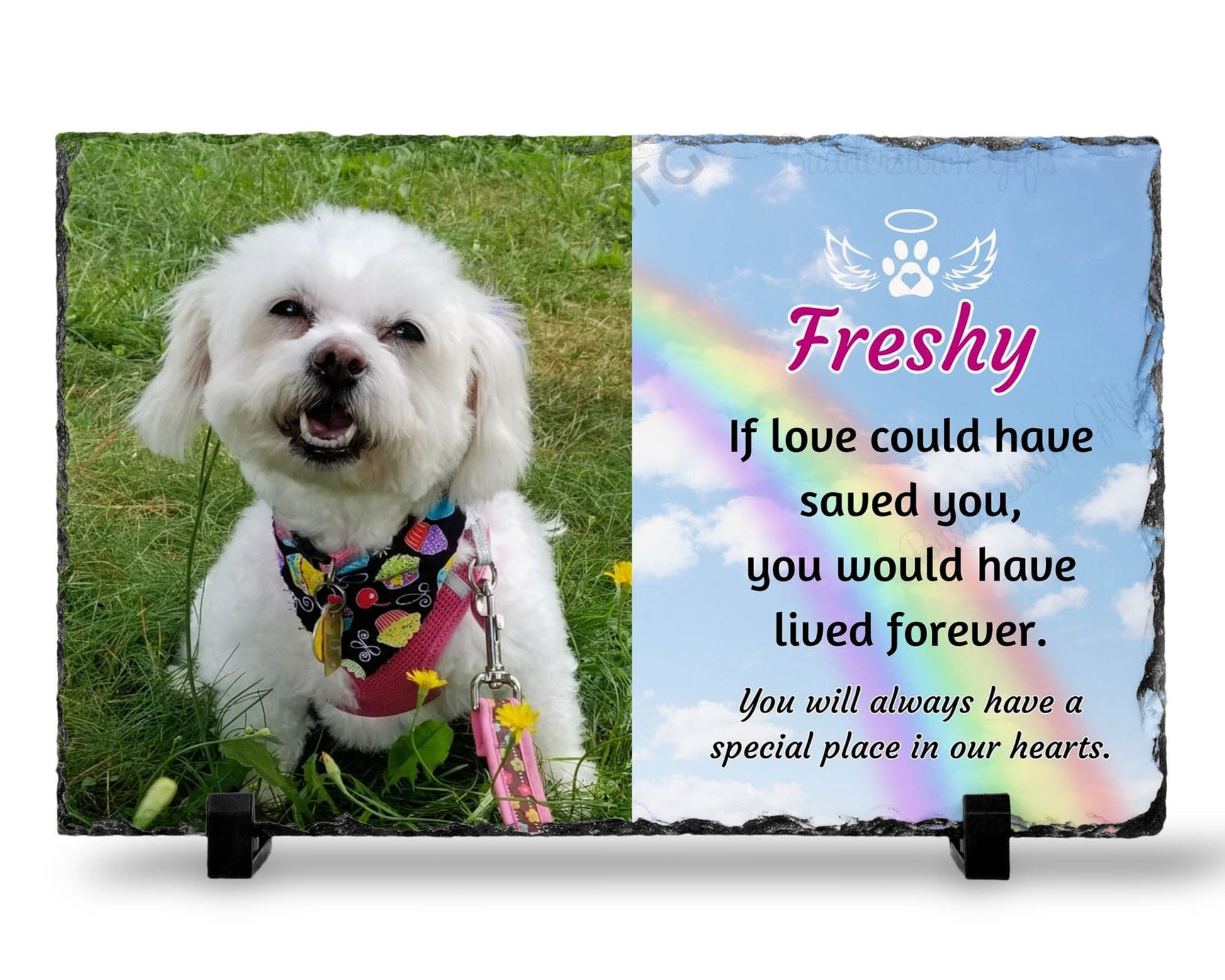 7x11 memorial plaque loss of pet, if love could have save you with photo and rainbow