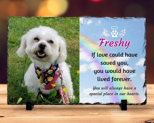 7x11 memorial plaque loss of pet, if love could have save you with photo and rainbow