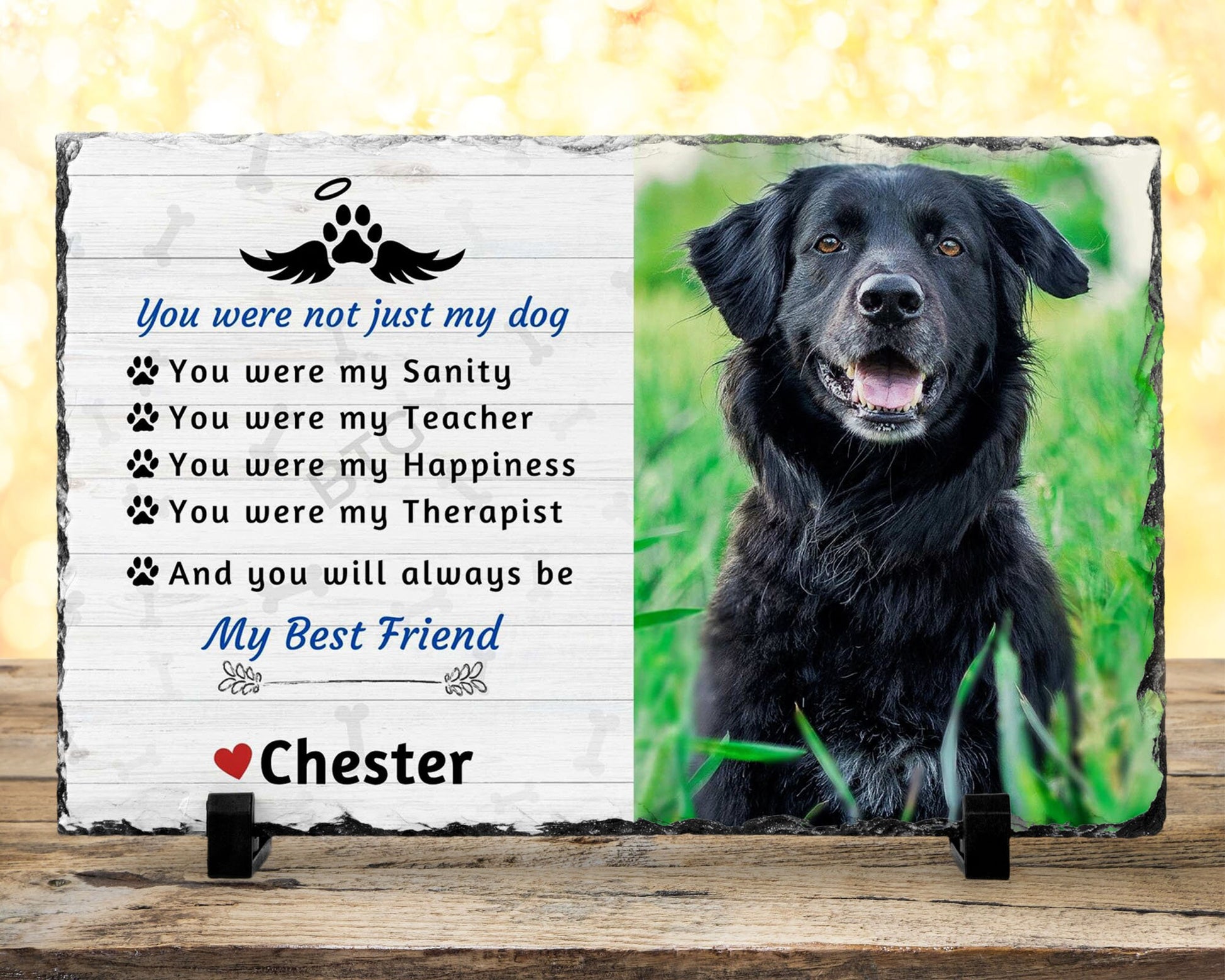 7x11 memorial plaque loss of pet, Not just my dog with printed photo