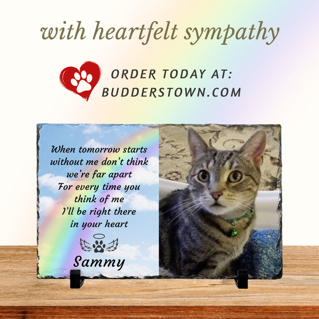 natural slate gift is not just a keepsake; it transforms any photo into a personalized remembrance of your beloved pet. Whether you're purchasing this loss of pet memorial for yourself or sending it as a thoughtful gift to someone mourning the loss of their pet, our 7 1/2" x 11" photo slate is a perfect tribute.